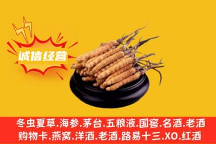 岳阳市岳阳楼回收冬虫夏草